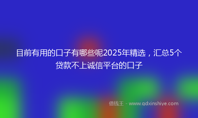 目前有用的口子有哪些呢2025年精选，汇总5个贷款不上诚信平台的口子