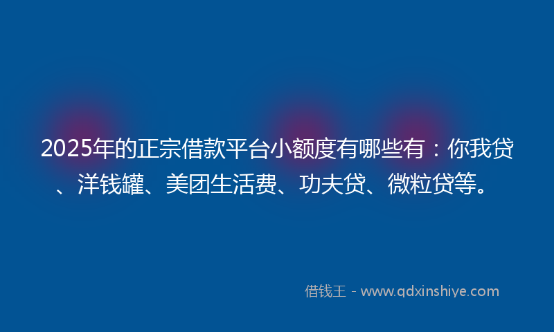 2025年的正宗借款平台小额度有哪些有：你我贷、洋钱罐、美团生活费、功夫贷、微粒贷等。