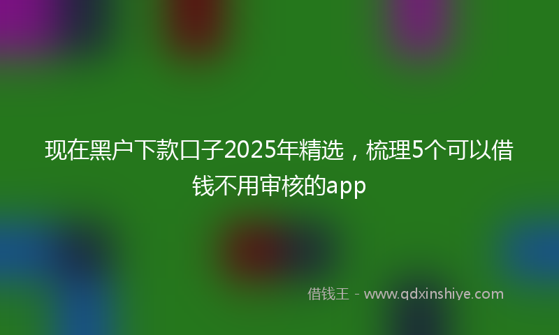 现在黑户下款口子2025年精选,梳理5个可以借钱不用审核的app