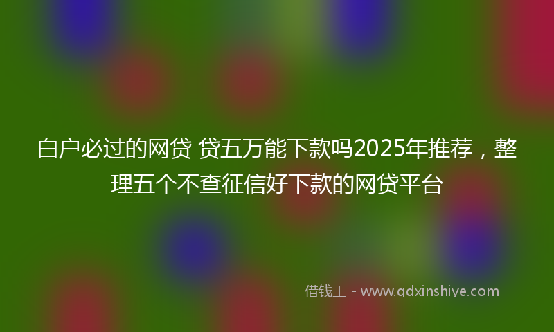 白户必过的网贷 贷五万能下款吗2025年推荐，整理五个不查征信好下款的网贷平台