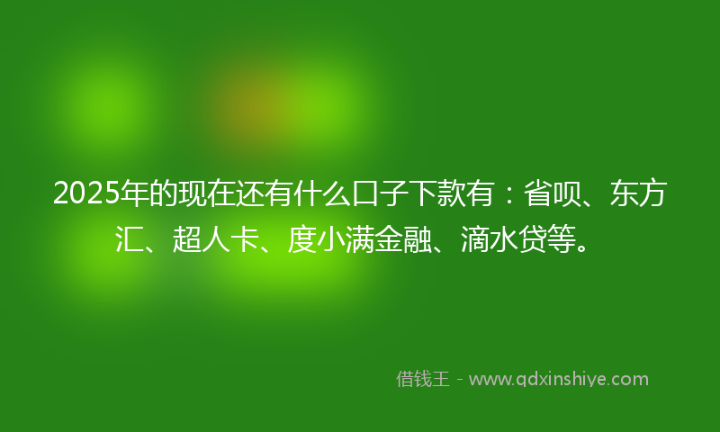 2025年的现在还有什么口子下款有：省呗、东方汇、超人卡、度小满金融、滴水贷等。