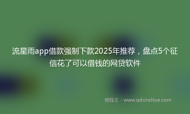 流星雨app借款强制下款2025年推荐，盘点5个征信花了可以借钱的网贷软件