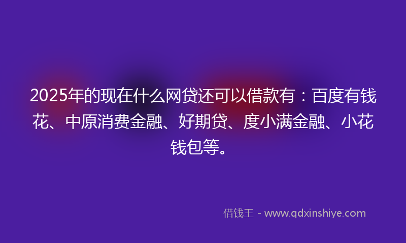 2025年的现在什么网贷还可以借款有：百度有钱花、中原消费金融、好期贷、度小满金融、小花钱包等。