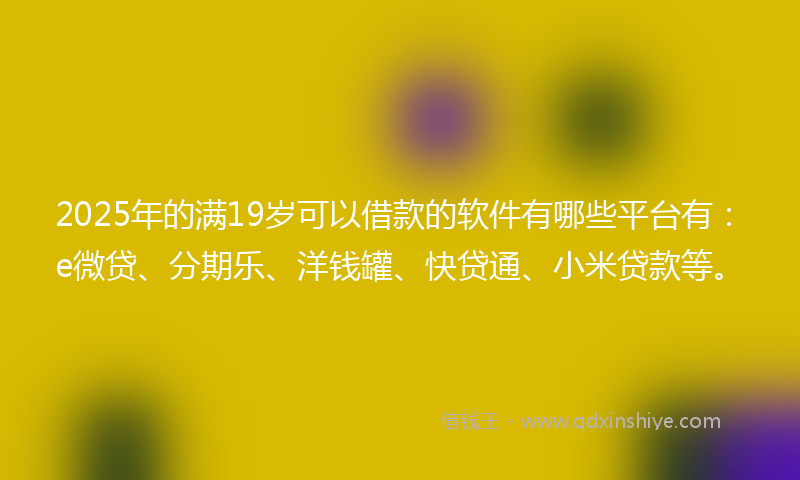 2025年的满19岁可以借款的软件有哪些平台有：e微贷、分期乐、洋钱罐、快贷通、小米贷款等。