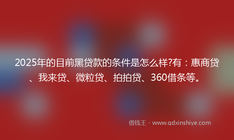 2025年的目前黑贷款的条件是怎么样?有：惠商贷、我来贷、微粒贷、拍拍贷、360借条等。