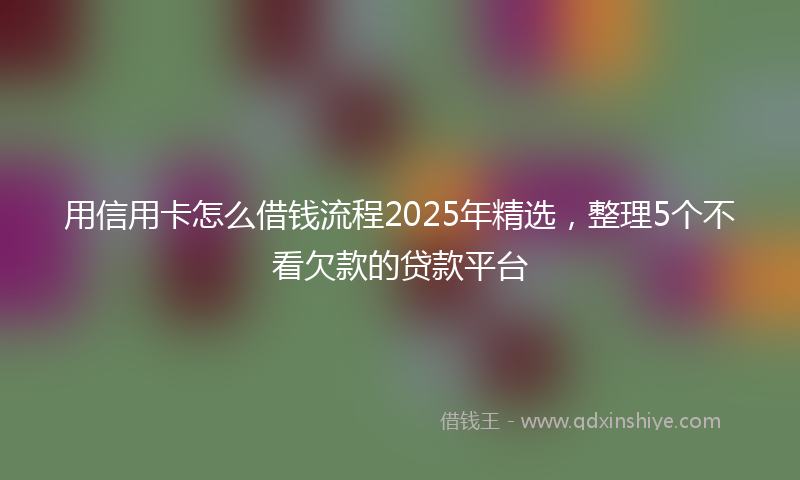 用信用卡怎么借钱流程2025年精选,整理5个不看欠款的贷款平台