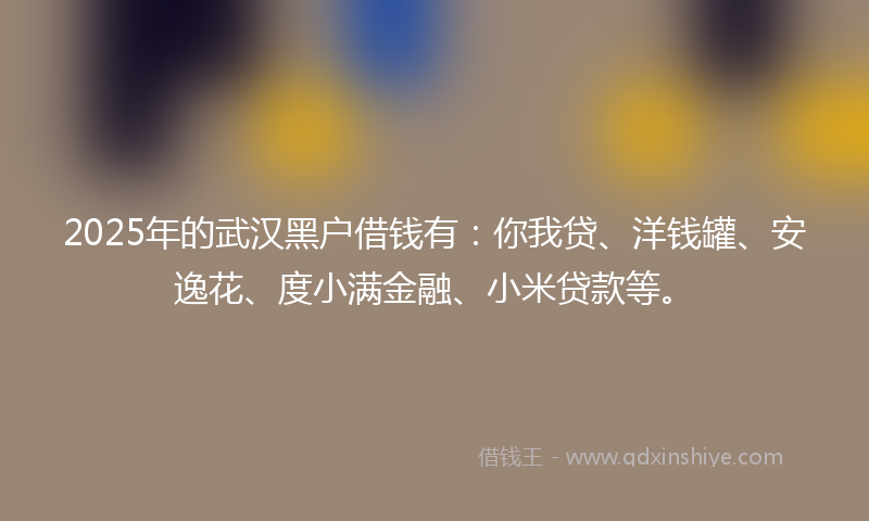 2025年的武汉黑户借钱有：你我贷、洋钱罐、安逸花、度小满金融、小米贷款等。