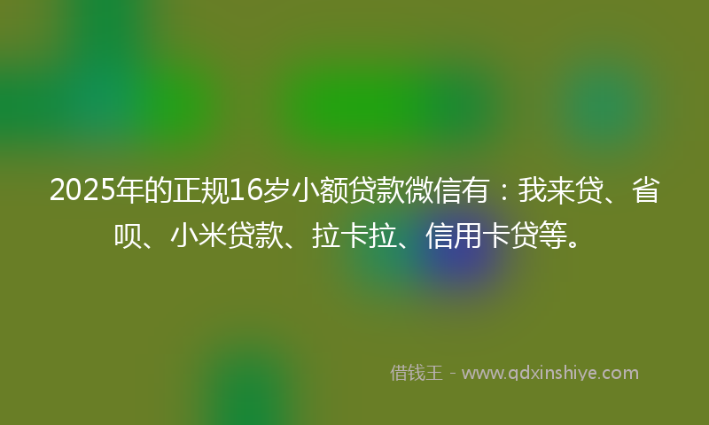 2025年的正规16岁小额贷款微信有：我来贷、省呗、小米贷款、拉卡拉、信用卡贷等。