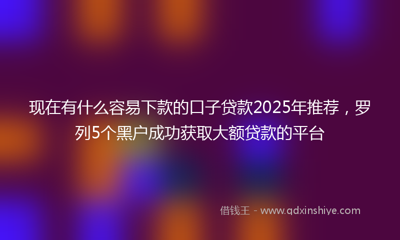 现在有什么容易下款的口子贷款2025年推荐，罗列5个黑户成功获取大额贷款的平台