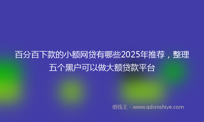 百分百下款的小额网贷有哪些2025年推荐，整理五个黑户可以做大额贷款平台