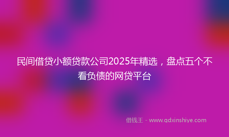 民间借贷小额贷款公司2025年精选，盘点五个不看负债的网贷平台