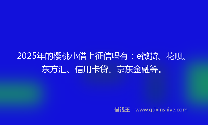 2025年的樱桃小借上征信吗有：e微贷、花呗、东方汇、信用卡贷、京东金融等。