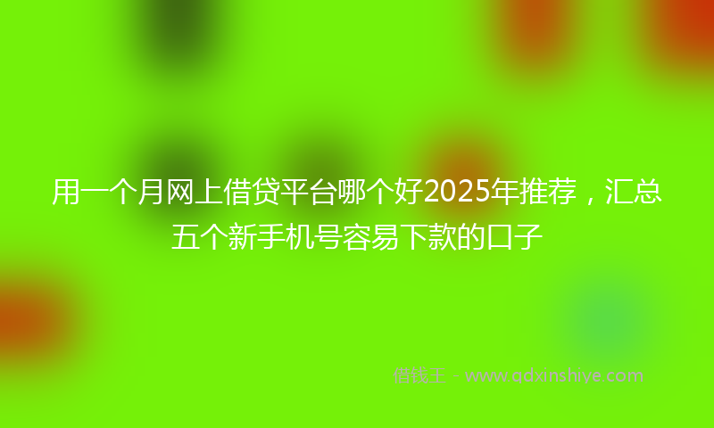 用一个月网上借贷平台哪个好2025年推荐，汇总五个新手机号容易下款的口子