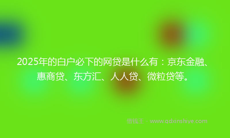 2025年的白户必下的网贷是什么有：京东金融、惠商贷、东方汇、人人贷、微粒贷等。