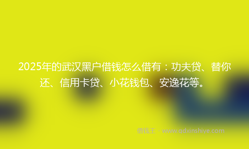 2025年的武汉黑户借钱怎么借有：功夫贷、替你还、信用卡贷、小花钱包、安逸花等。