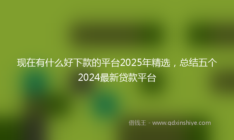 现在有什么好下款的平台2025年精选，总结五个2024最新贷款平台