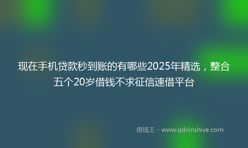 现在手机贷款秒到账的有哪些2025年精选，整合五个20岁借钱不求征信速借平台
