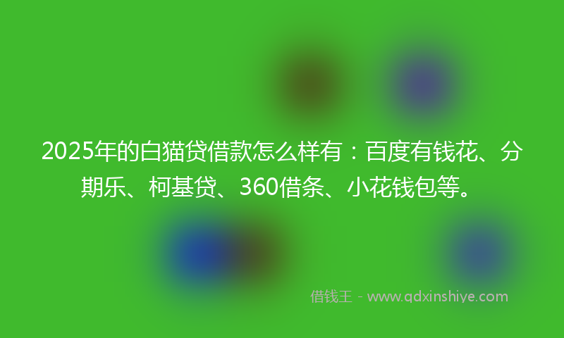 2025年的白猫贷借款怎么样有：百度有钱花、分期乐、柯基贷、360借条、小花钱包等。