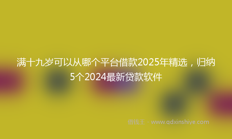 满十九岁可以从哪个平台借款2025年精选，归纳5个2024最新贷款软件