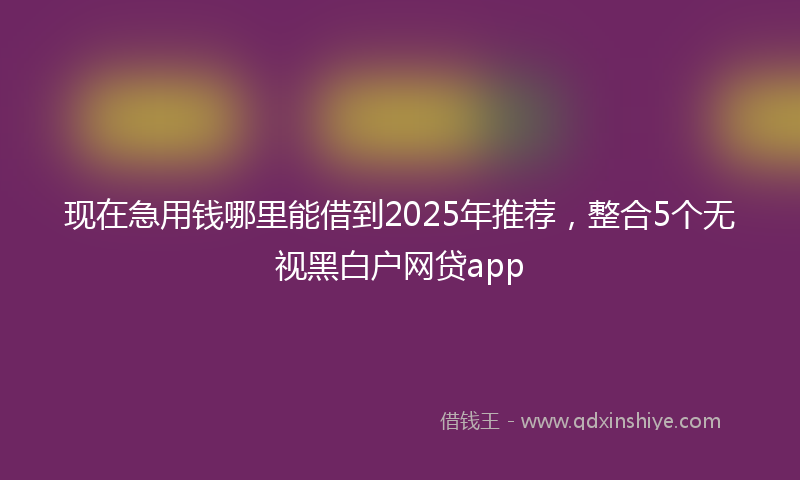 现在急用钱哪里能借到2025年推荐，整合5个无视黑白户网贷app