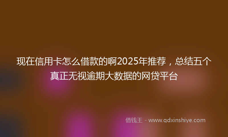现在信用卡怎么借款的啊2025年推荐，总结五个真正无视逾期大数据的网贷平台