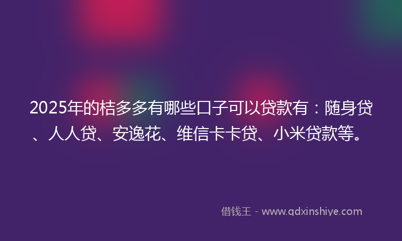2025年的桔多多有哪些口子可以贷款有：随身贷、人人贷、安逸花、维信卡卡贷、小米贷款等。