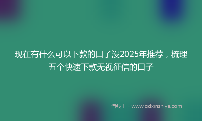 现在有什么可以下款的口子没2025年推荐，梳理五个快速下款无视征信的口子