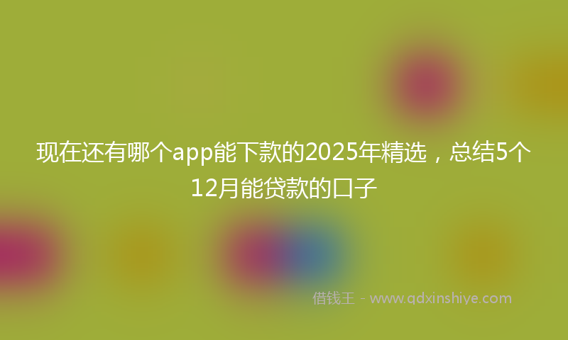 现在还有哪个app能下款的2025年精选，总结5个12月能贷款的口子