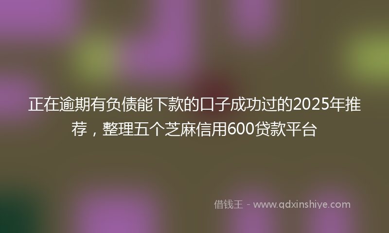 正在逾期有负债能下款的口子成功过的2025年推荐，整理五个芝麻信用600贷款平台