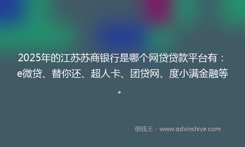 2025年的江苏苏商银行是哪个网贷贷款平台有：e微贷、替你还、超人卡、团贷网、度小满金融等。