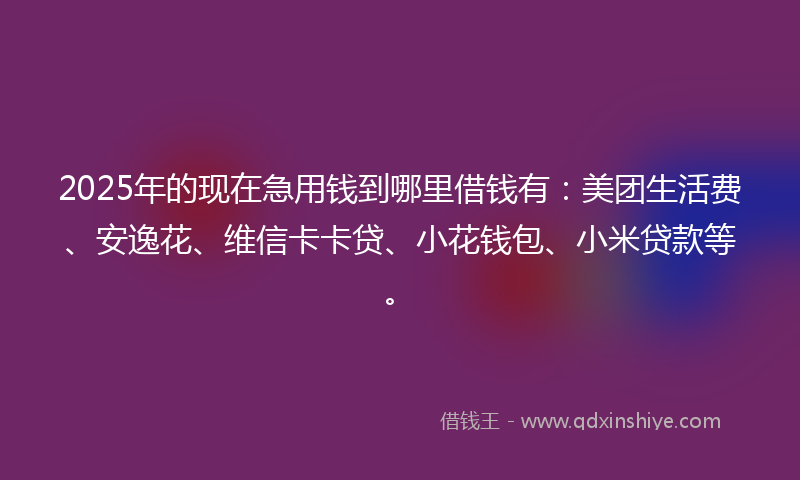 2025年的现在急用钱到哪里借钱有：美团生活费、安逸花、维信卡卡贷、小花钱包、小米贷款等。