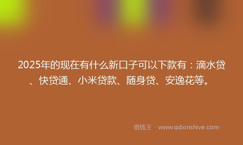 2025年的现在有什么新口子可以下款有：滴水贷、快贷通、小米贷款、随身贷、安逸花等。