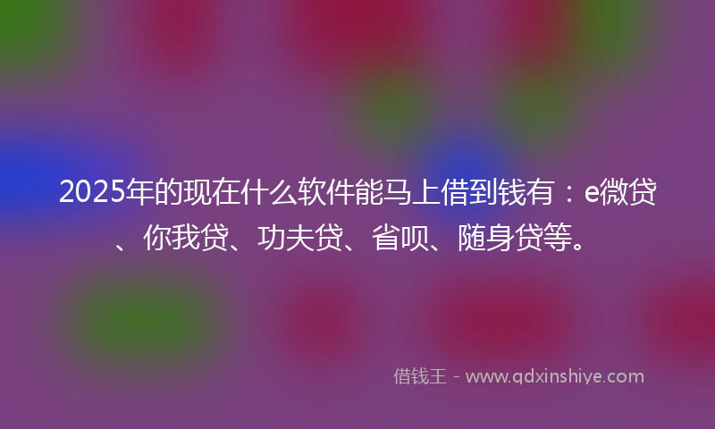 2025年的现在什么软件能马上借到钱有：e微贷、你我贷、功夫贷、省呗、随身贷等。