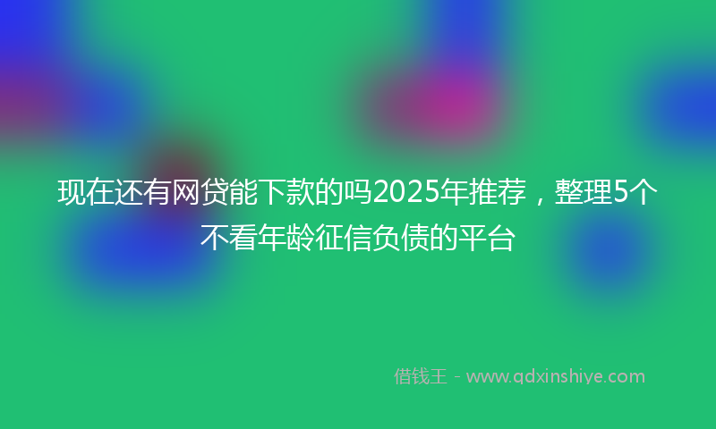 现在还有网贷能下款的吗2025年推荐，整理5个不看年龄征信负债的平台