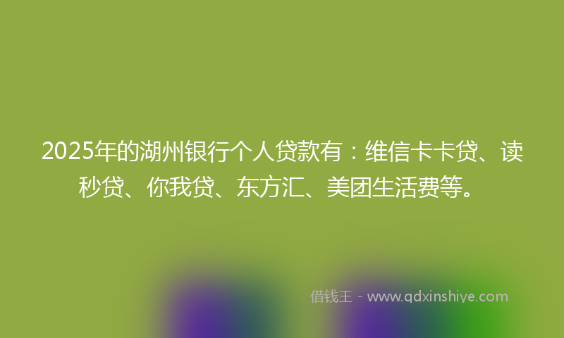 2025年的湖州银行个人贷款有：维信卡卡贷、读秒贷、你我贷、东方汇、美团生活费等。
