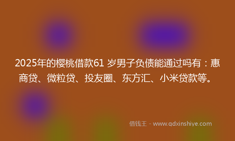 2025年的樱桃借款61 岁男子负债能通过吗有：惠商贷、微粒贷、投友圈、东方汇、小米贷款等。