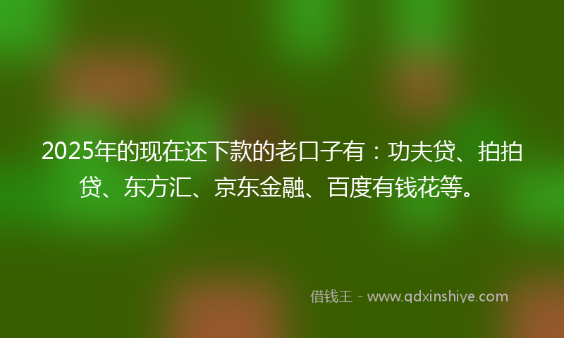 2025年的现在还下款的老口子有：功夫贷、拍拍贷、东方汇、京东金融、百度有钱花等。
