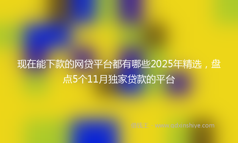现在能下款的网贷平台都有哪些2025年精选，盘点5个11月独家贷款的平台