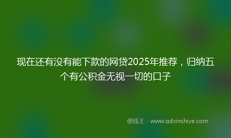 现在还有没有能下款的网贷2025年推荐，归纳五个有公积金无视一切的口子