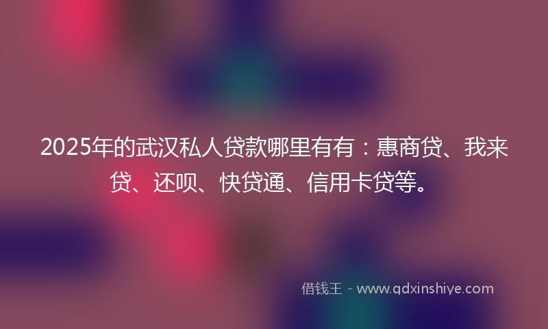 2025年的武汉私人贷款哪里有有：惠商贷、我来贷、还呗、快贷通、信用卡贷等。