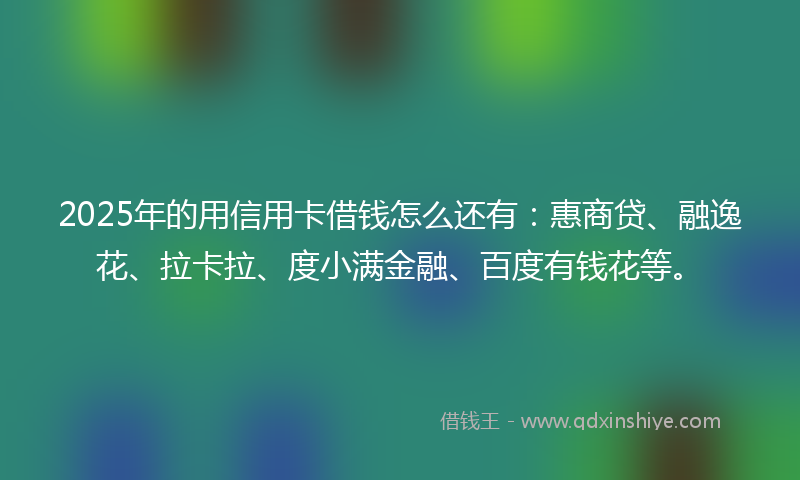 2025年的用信用卡借钱怎么还有：惠商贷、融逸花、拉卡拉、度小满金融、百度有钱花等。