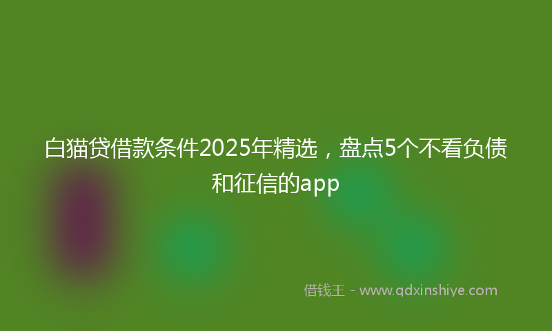 白猫贷借款条件2025年精选，盘点5个不看负债和征信的app