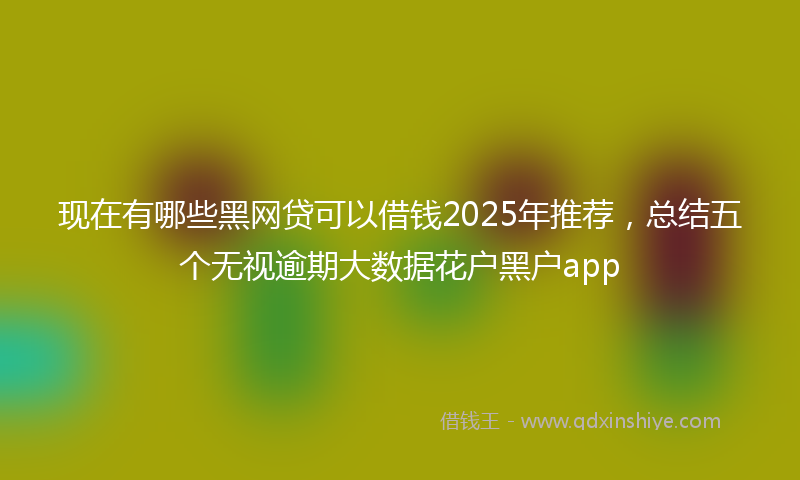 现在有哪些黑网贷可以借钱2025年推荐，总结五个无视逾期大数据花户黑户app