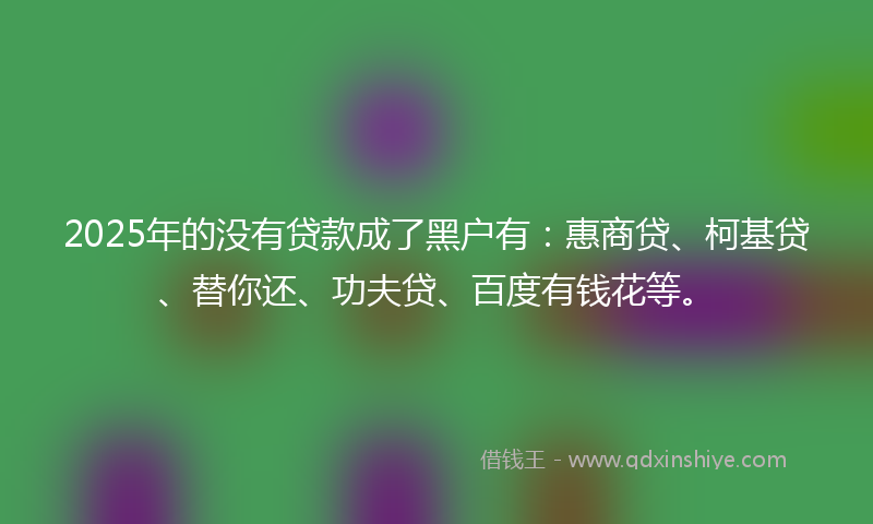 2025年的没有贷款成了黑户有：惠商贷、柯基贷、替你还、功夫贷、百度有钱花等。