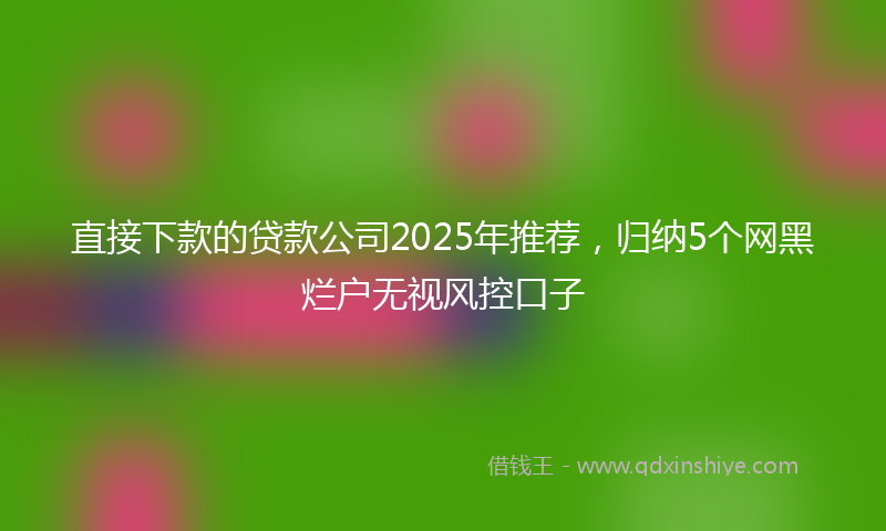 直接下款的贷款公司2025年推荐，归纳5个网黑烂户无视风控口子
