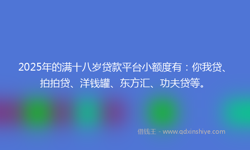 2025年的满十八岁贷款平台小额度有：你我贷、拍拍贷、洋钱罐、东方汇、功夫贷等。