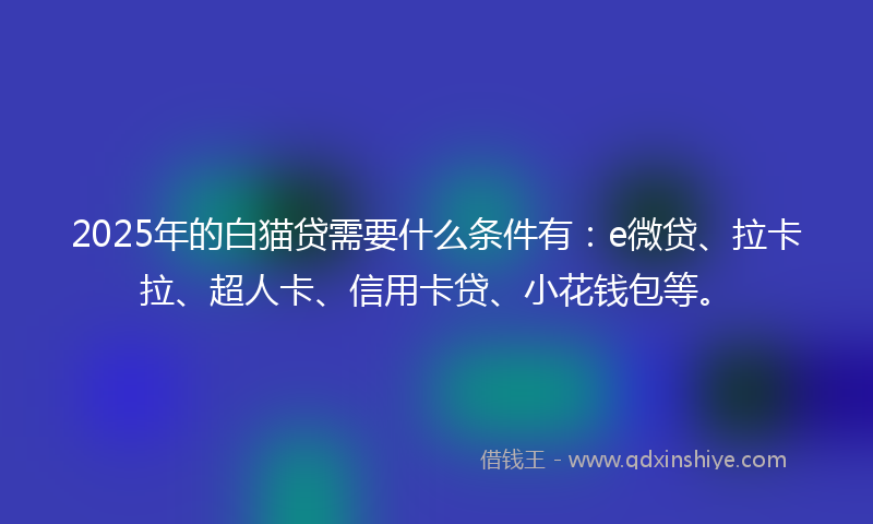 2025年的白猫贷需要什么条件有：e微贷、拉卡拉、超人卡、信用卡贷、小花钱包等。