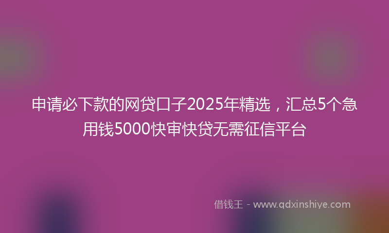 申请必下款的网贷口子2025年精选，汇总5个急用钱5000快审快贷无需征信平台