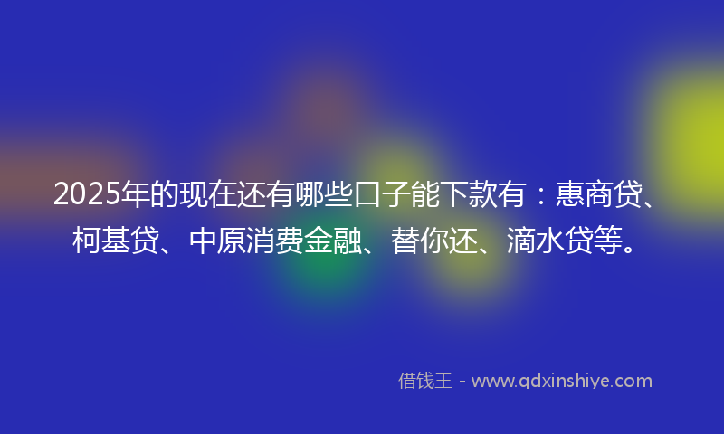 2025年的现在还有哪些口子能下款有:惠商贷、柯基贷、中原消费金融、替你还、滴水贷等。