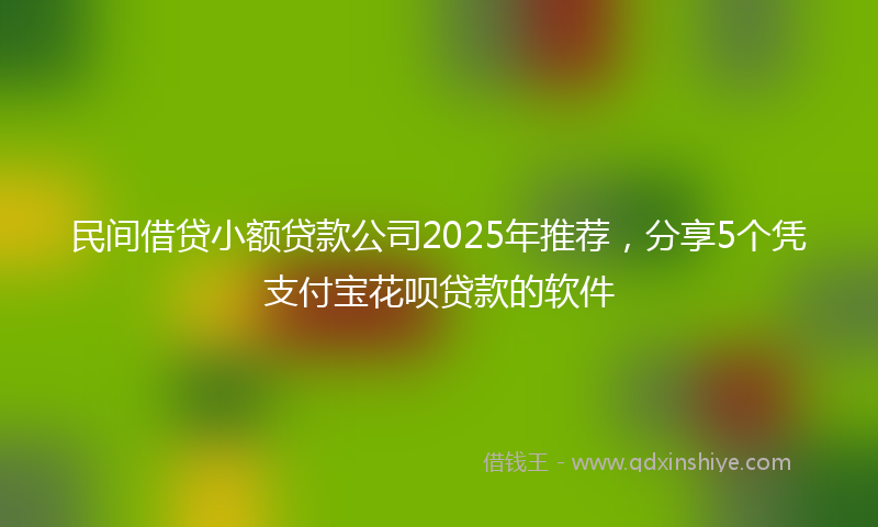 民间借贷小额贷款公司2025年推荐，分享5个凭支付宝花呗贷款的软件